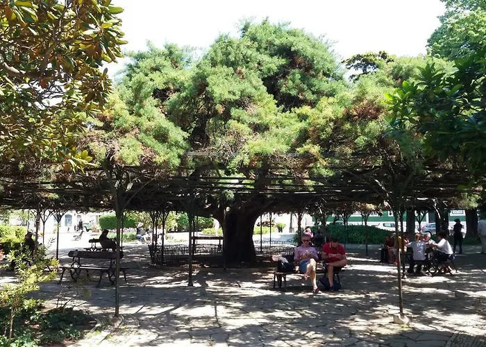 Old Town Principe Real Лиссабон