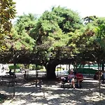 Old Town Principe Real Lisbon