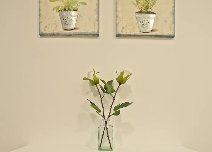 Old Town Principe Real 公寓