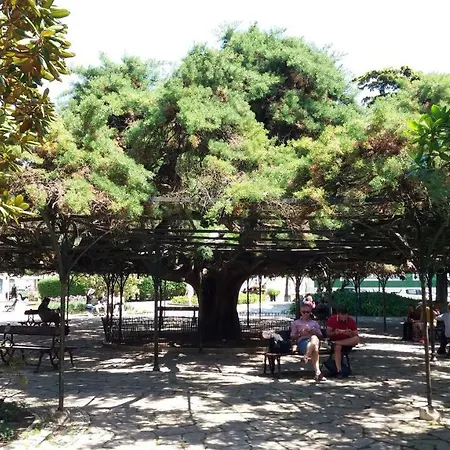 Old Town Principe Real Lisboa